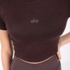 ALO YOGA  YUVARLAK YAKA CROP KAHVERENK